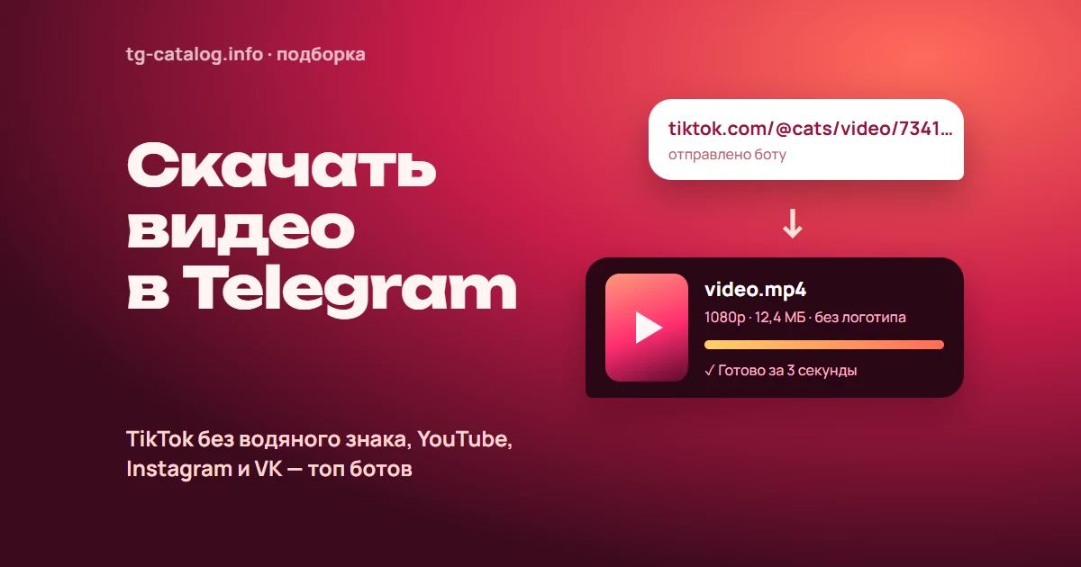 Боты для скачивания видео в Telegram: TikTok без водяного знака, YouTube, Instagram и VK