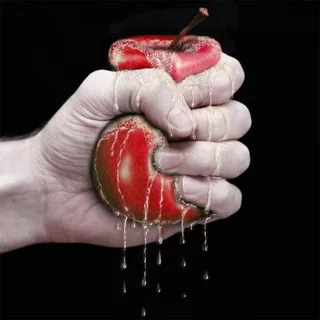 ВИЛСАКОМ РЕД / WYLSACOM RED