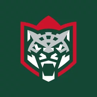 ХК «Ак Барс»