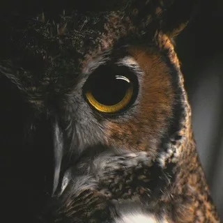 +1 умная мысль - Цитаты