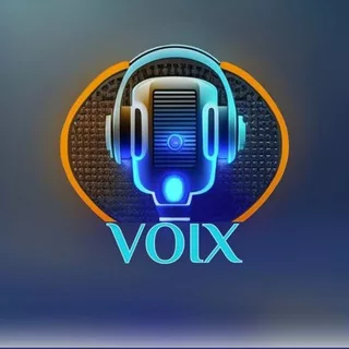 Voix 🎙 Распознавание | расшифровка голосовых | аудио | видео