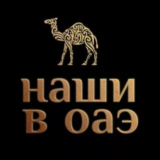 НАШИ В ОАЭ | ДУБАЙ ЧАТ 🇦🇪